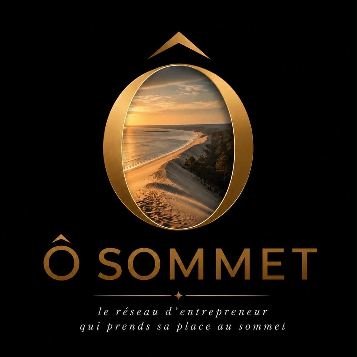 Logo Ô Sommet